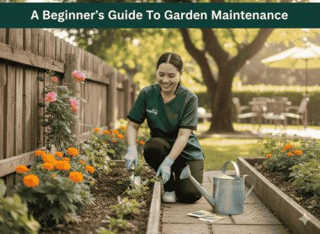 Garden maintain guide