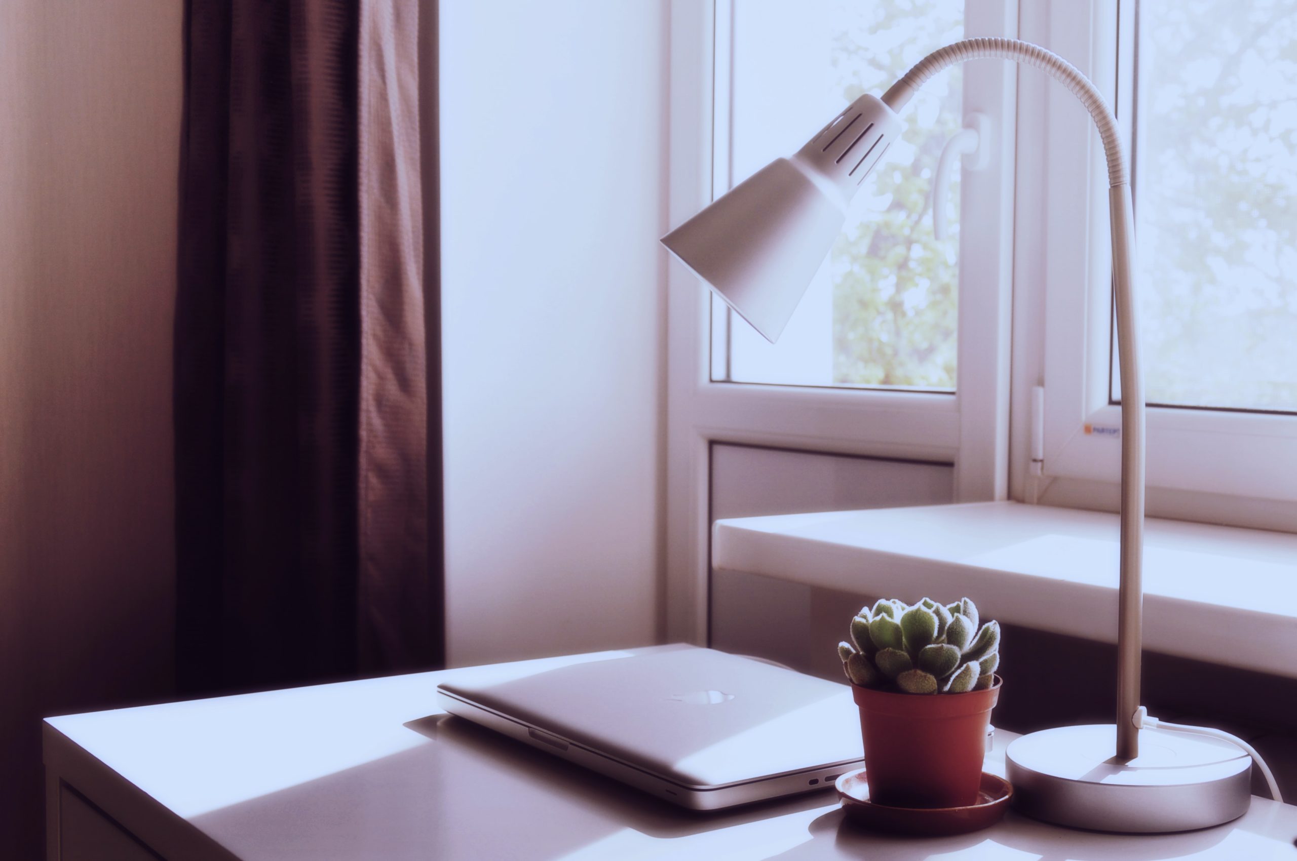 home office essentials - desk set-up with lamp