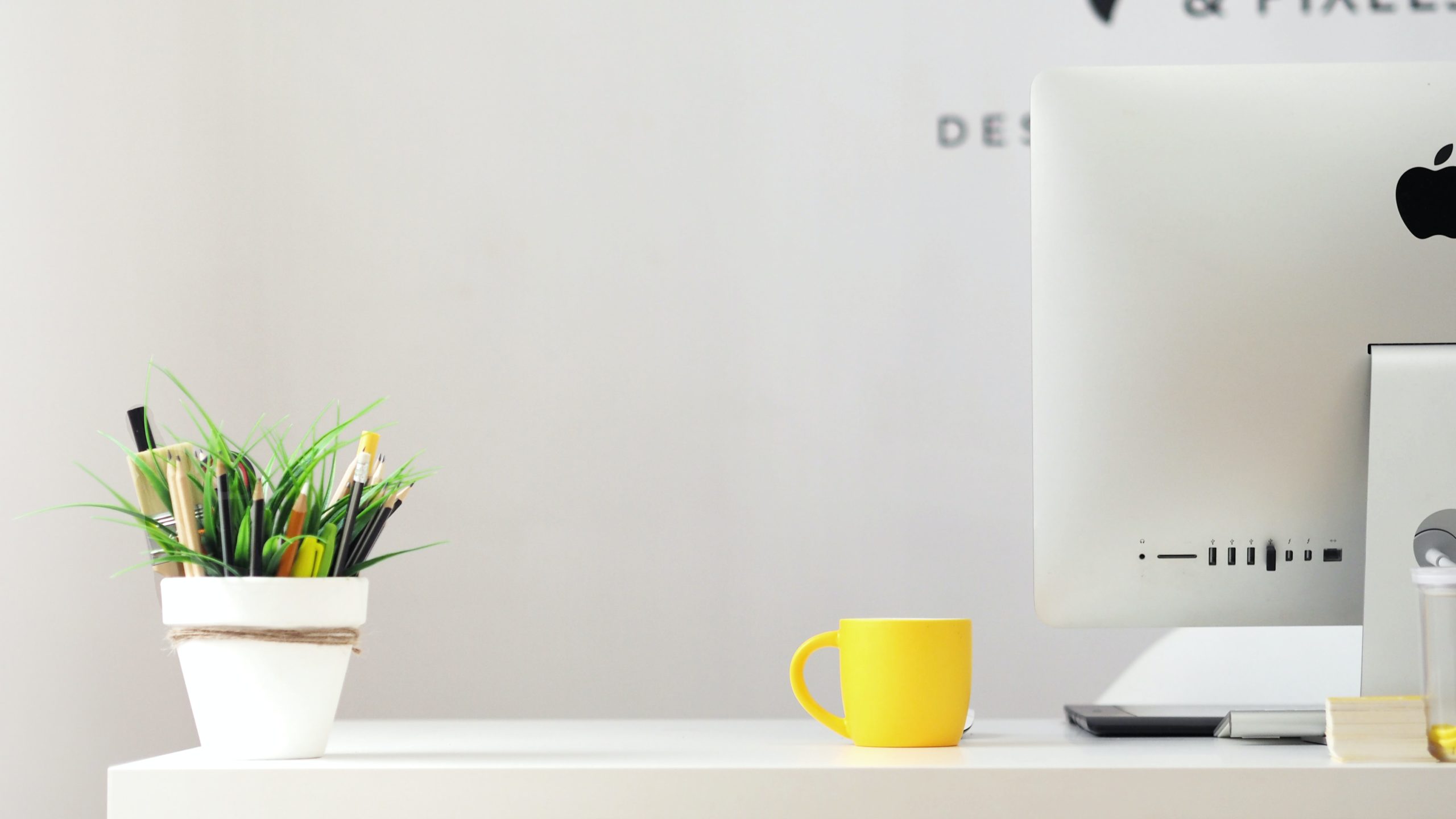 work desk feng shui - plants and mug on work desk