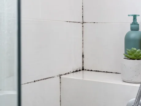 Black mould on bathroom tile grout, Singapore home